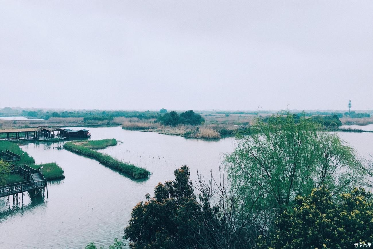 浙江德清下渚湖国家湿地公园环境很美，花美，人美，都很美