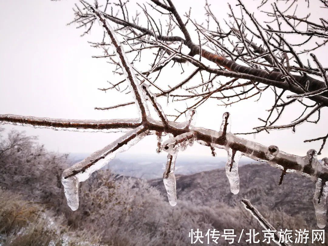 第一场雪|门城一夜雪，万山披银装！