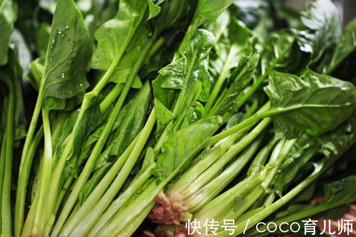 中老年人|提醒中老年人:3类食物或会“加速”骨质疏松,你知道是什么吗?