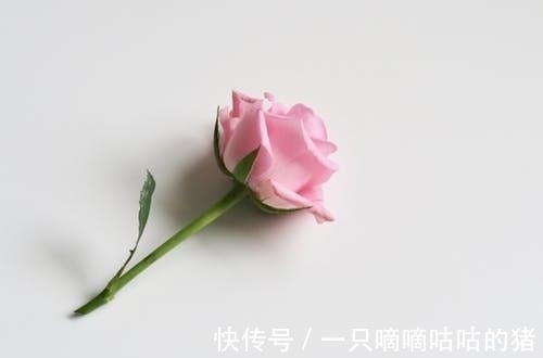 雌性|花粉过敏源在花交配的时候生成,但要不要除掉它们让人们犯难