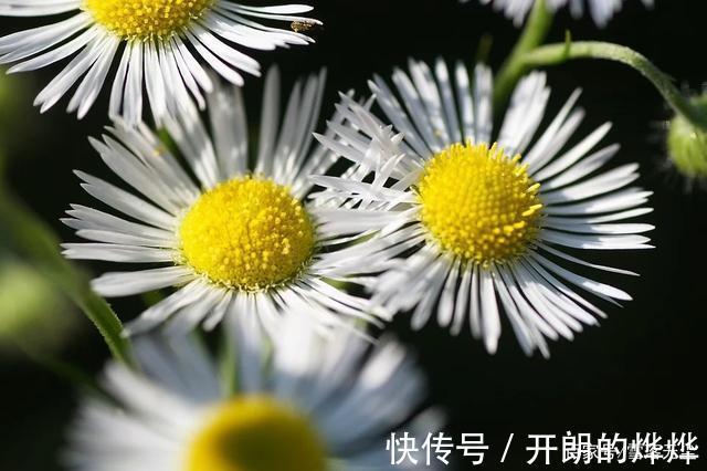小兰|你之所以活得累，其实是“比”出来的