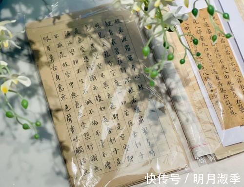 笔法@陈坤手抄佛经：笔法清秀有力，是真正难得一见的好书法