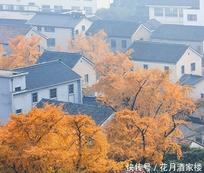 苏州太湖西山岛|苏州人的宝岛秘境,美成仙境,却被时光遗忘!