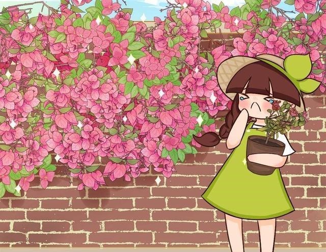 5种花越养越上瘾,只要养好一盆,就会特别喜欢