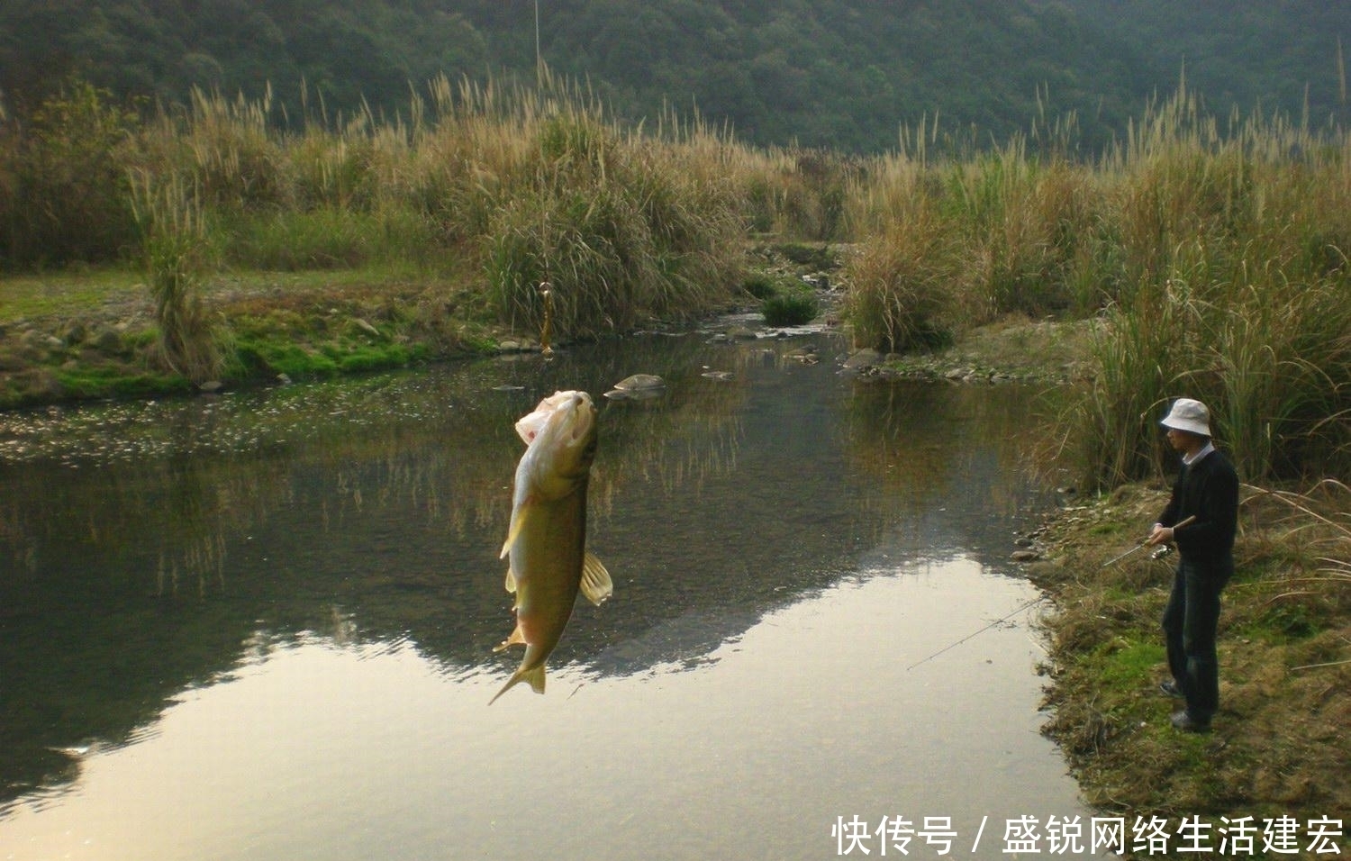  马口的两种钓法，不是为了渔获，而是为了钓鱼的乐趣