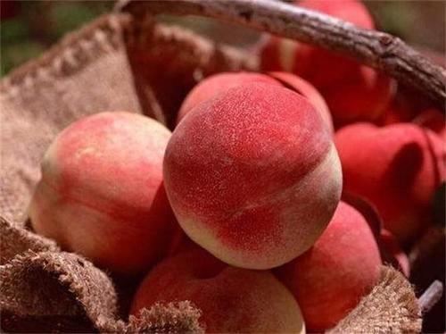 维生素c|每天可以坚持吃3种食物,美容养颜,滋润肌肤,爱吃就赚了!