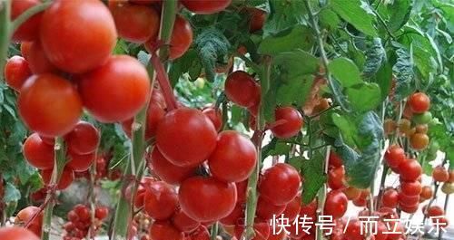 中老年人|中老年人坚持吃8种食物,高血压远离你,血管年轻20岁,身体更强壮