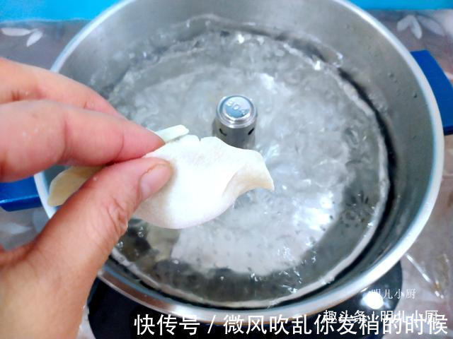 这菜5毛钱一斤,包饺子真好吃,个个肚大不走水,咬一口满嘴鲜汤