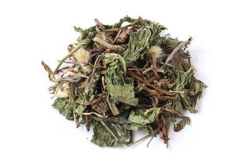 蒲公英|一张“修补胃壁”的方子！两味药，化解淤血，补平糜烂，缓解胃痛