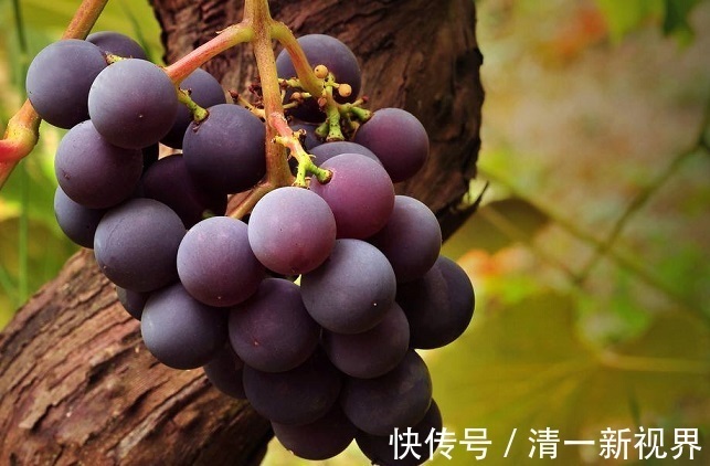 女人|夏天到了，女人要多吃以下三种水果，尤其最后一种，对子宫特别好