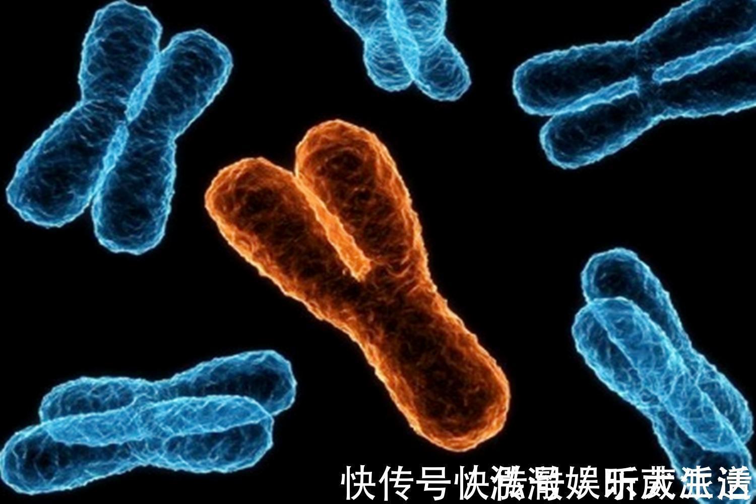 相貌|夫妻中谁的基因决定了孩子的智商与相貌