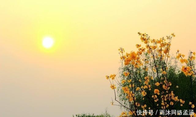 这七个成语至少难倒十亿中国人,你也试试看包不包括你