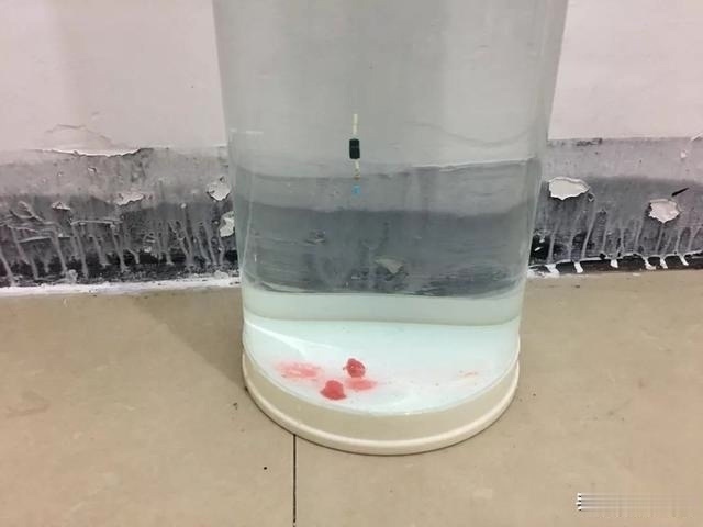 钓鱼最不该做的三件事,老钓手的经验之谈,新手小白需牢记