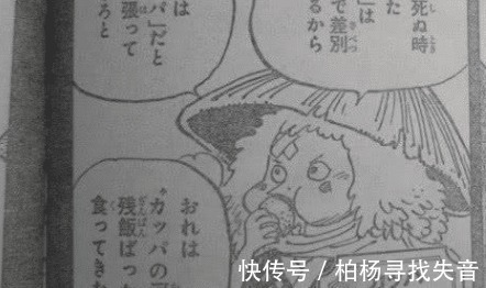 萌宠|海贼王中的六大萌宠，乔巴榜上提名，这三只的主人是同一人