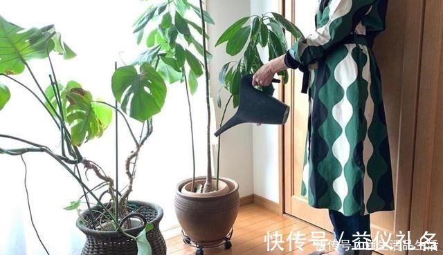 房子|日本退休夫妇的蜗居生活，房子虽小却布置得温馨精致，惹人喜爱！