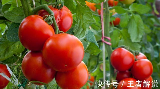 养肾|“三白”伤肾,建议少碰,“二红”养肾,不妨常吃,肾或给你点赞