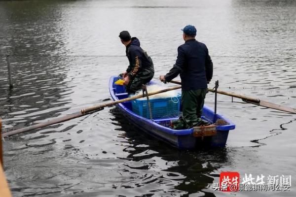 又是别人家的学校！捕万斤鱼，做全鱼宴犒劳全校师生