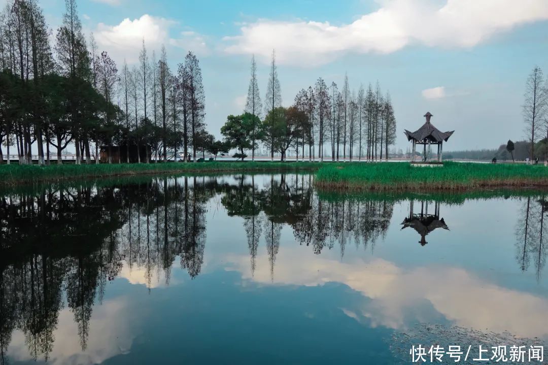 大明湖|一波美图，带你“云”赏青浦的湿地美景