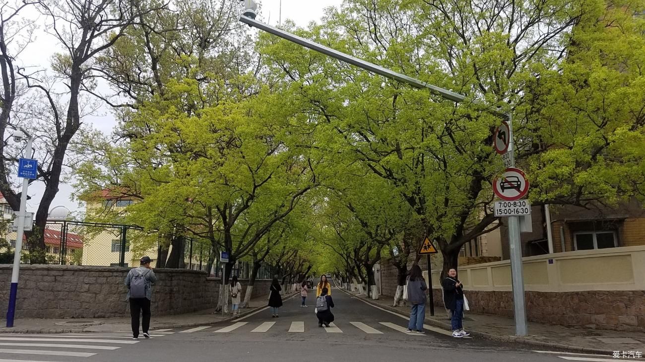 大海|《年终盛典》从西北来到青岛，就是想看看梦中的大海