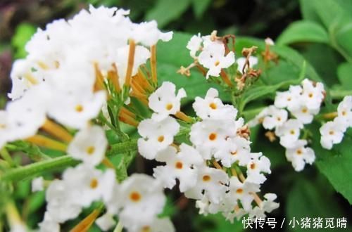 冬天女性，可以吃3种食物，排出毒素，净化血液，滋养女性子宫