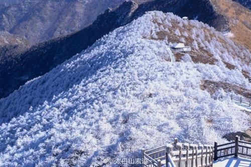 秦岭|秦岭太白山雪后雾凇美景 仿佛置身冰雪童话世界