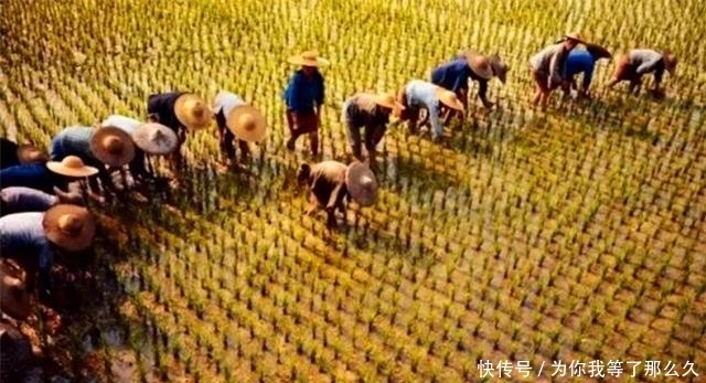 中国|经济学家王福重:农民的辛苦,其实是真正的懒惰