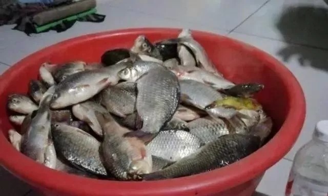 热天|蚯蚓钓鱼二十年,到现在才知,一半钓鱼人都忽视了这用法,包括你