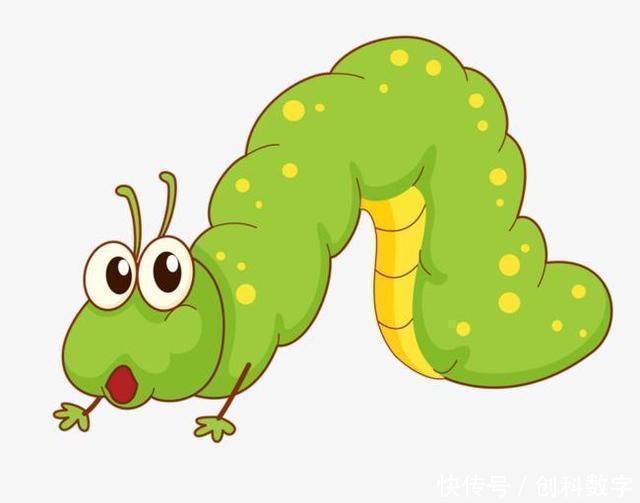 阿莫西林|幽门螺杆菌最怕什么不是大蒜，经常吃，胃慢慢好起来