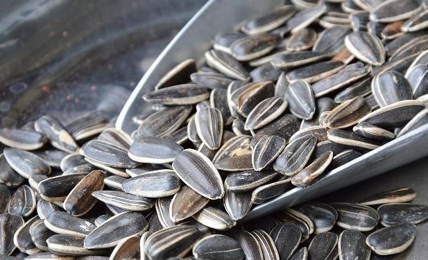 减肥|瓜子和花生,一个让你发胖,另一个让你减肥,也许很多人吃错了!