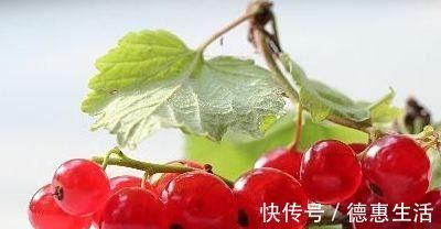 延缓衰老|每天可以多吃三种水果,美容养颜,延缓衰老,身体棒棒哒!