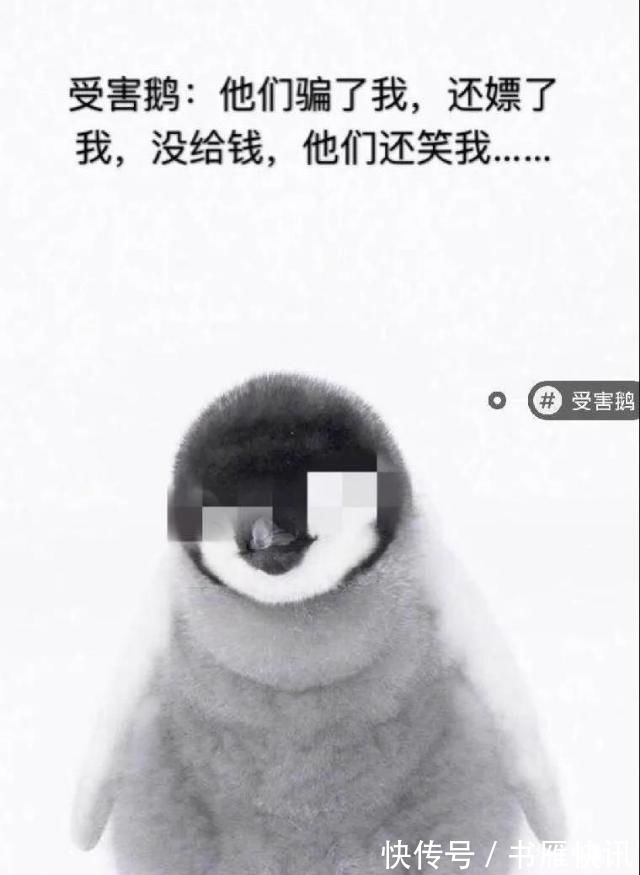 萝卜章|腾讯被群嘲背后不只是一场全民娱乐这么简单