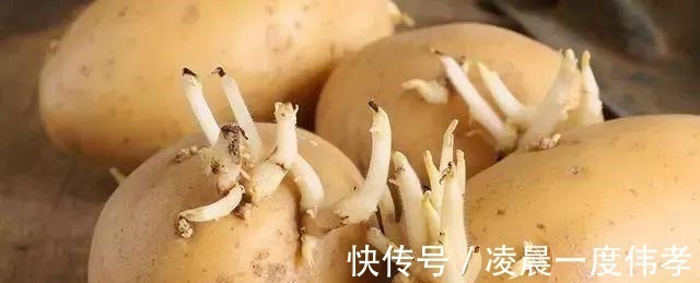 西葫芦|这7种蔬菜建议大家少吃,不妨看一下,有没有你喜欢吃的