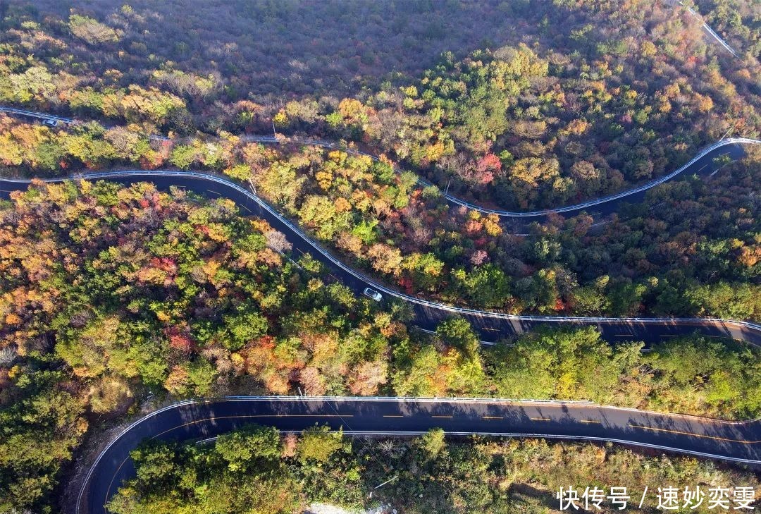 公路|这条藏在远安的旅游公路，惊艳了秋天，美成了童话