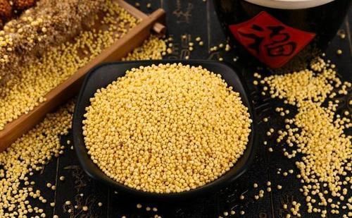 小米、黃米長得像,但作用不同,養(yǎng)胃吃小米還是黃米?吃錯反傷胃