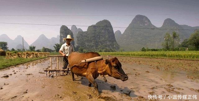  社会|《水浒传》与古代中国的小农经济制度：游民、地主和读书人