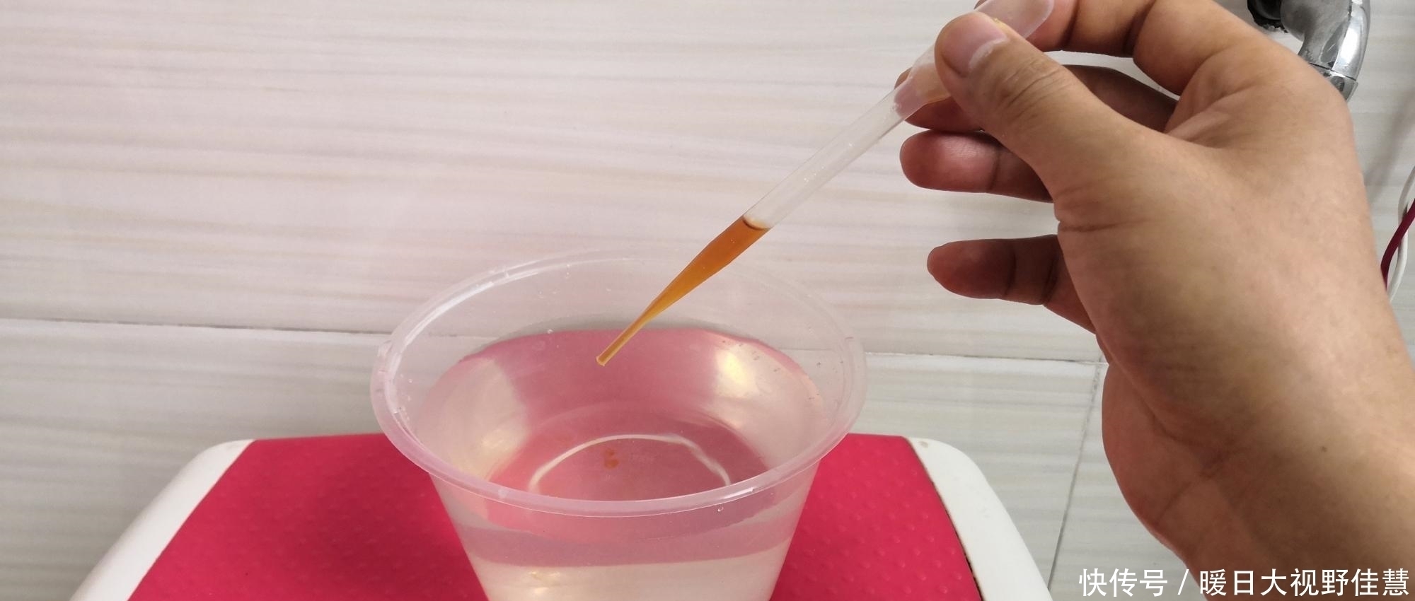 养兰人|养兰人总结出来的养兰偏方,招招好使,叶芽满盆