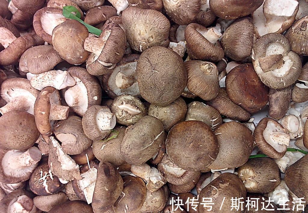 皮肤|女性常吃5种天然食物,子宫干净了,皮肤细腻光滑,告别妇科病