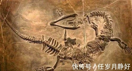 夏朝$最后两条龙被夏朝人吃了?民间传说是真的吗?