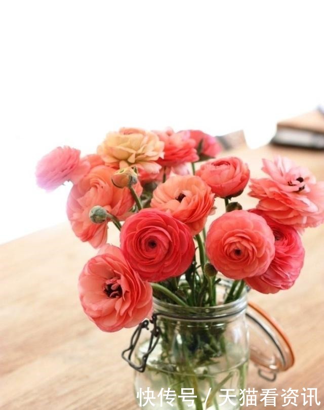 经典语录|激励人心的经典语录,句句有内涵,读读受益匪浅