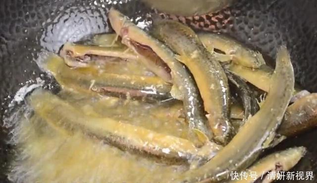 汤汁|大厨透露红烧泥鳅的做法,皮酥肉嫩超入味,上桌连汤汁都不剩