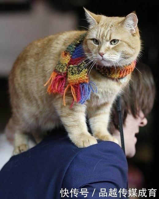 梁思成|钱钟书为何讨厌邻居林徽因?频繁找她麻烦,杨绛都拦不住