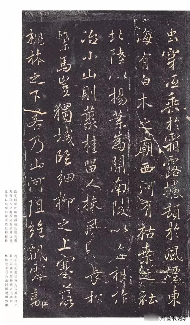 枯树赋|褚遂良《枯树赋》有美女婵娟，不胜罗绮之态