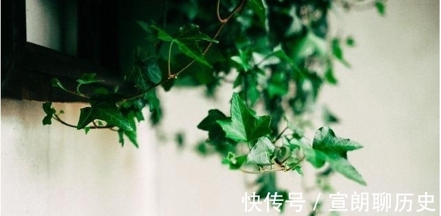 最喜欢“折腾”的3大星座，“不撞南墙不回头”的标签一直在！