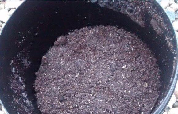 腐叶土|养花用什么土好这样“用土”,土不板结,茁壮生长,开花很旺