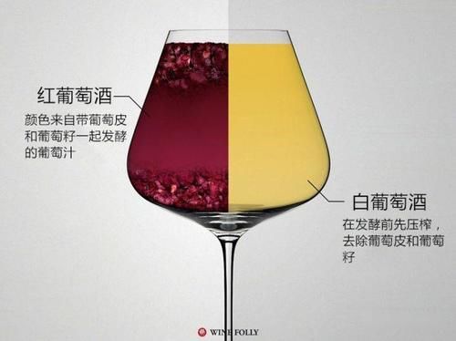 区别|红、白葡萄酒间真正的区别