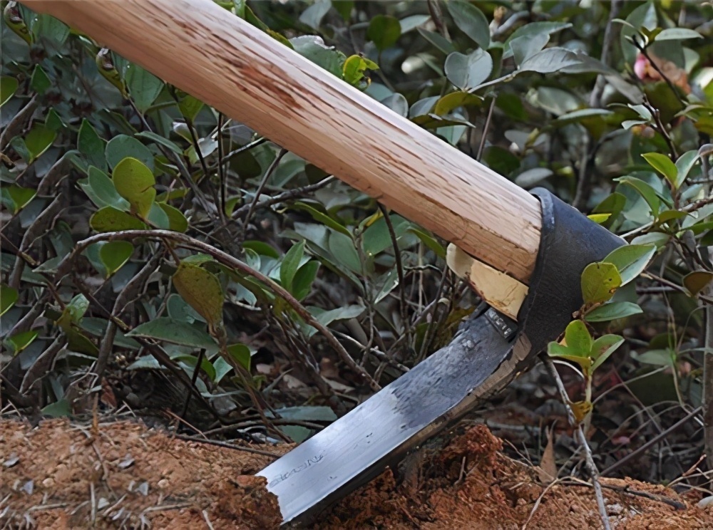 冻死骨!古代穷人过寒冬,为何宁可在户外冻死,也不挖地窖御寒,是懒吗