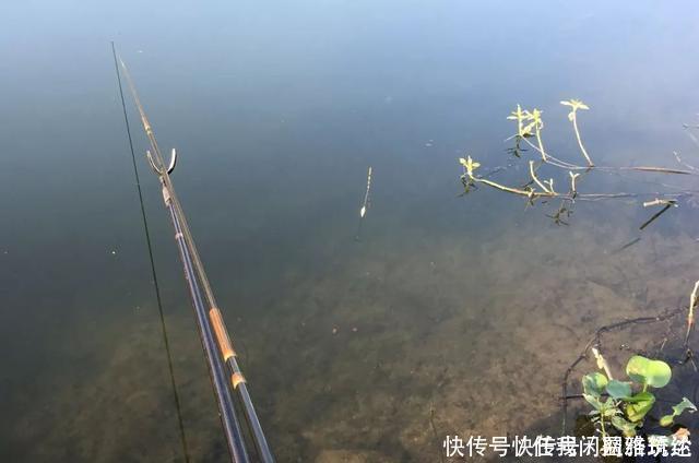 关于钓鱼的五个真实感受,新手可别被“骗”,钓鱼没那么好玩