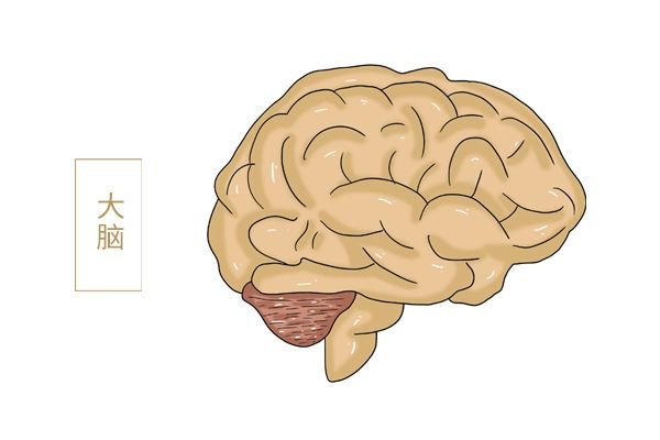 宝宝|宝宝患上多动症？不要急，给各位家长一些建议，让孩子定下心来