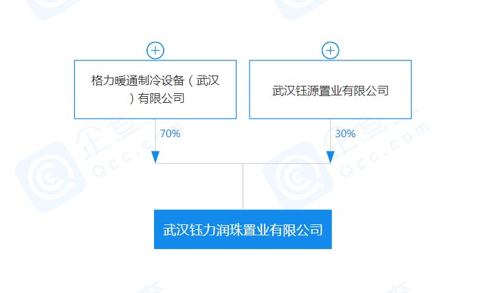 格力|格力在武汉投资成立房地产公司