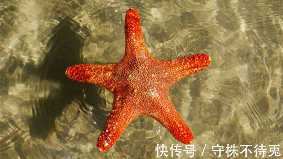 23个冷知识:经过检验真实存在,虽无处使用但却十分有趣